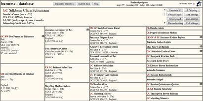 Pedigree of Grand Champion Silkbear Clara Schumann (Clara)