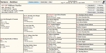 Pedigree of Champion and Grand Premier Silkbear Starfire (PopPop)