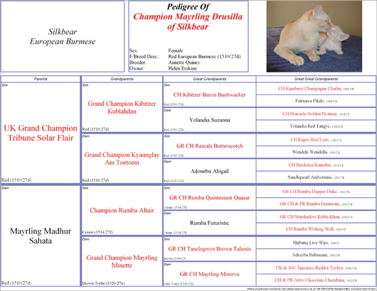 Pedigree of Champion Mayrling Drusilla of Silkbear (Lani)